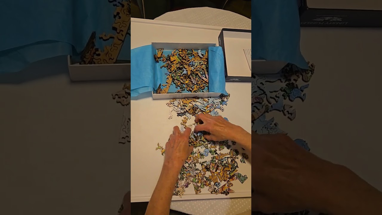 🧩 Puzzle Magic: Solving a Liberty Puzzle at Warp Speed! | Flatirons, Boulder CO