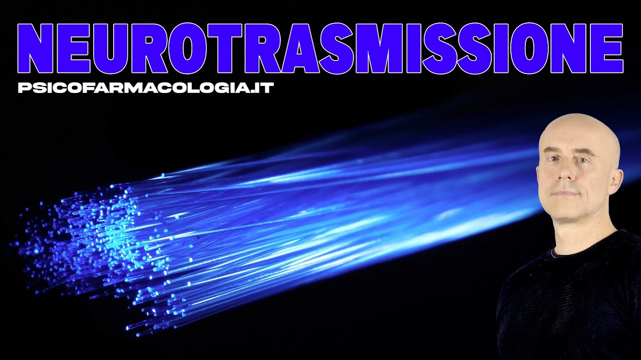 La Neurotrasmissione