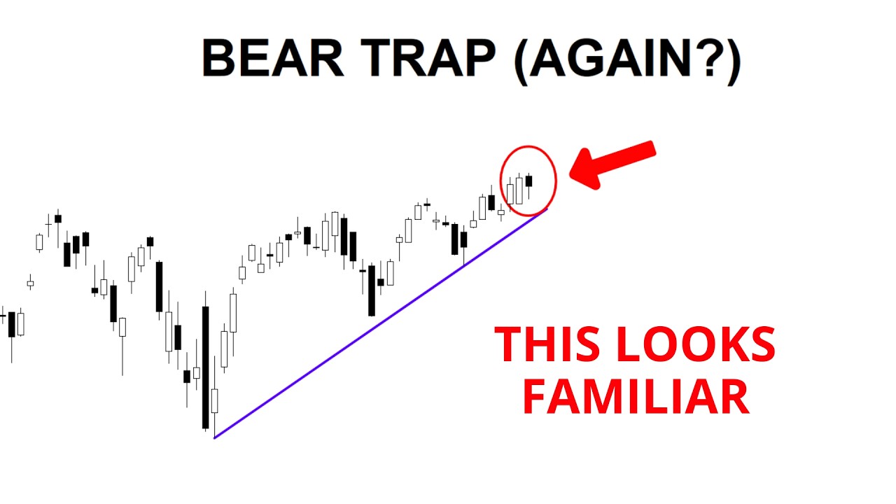 Technical Analysis of Stocks: SPY / QQQ / NVDA / TSLA / AMD / PLTR / AVGO / MSFT