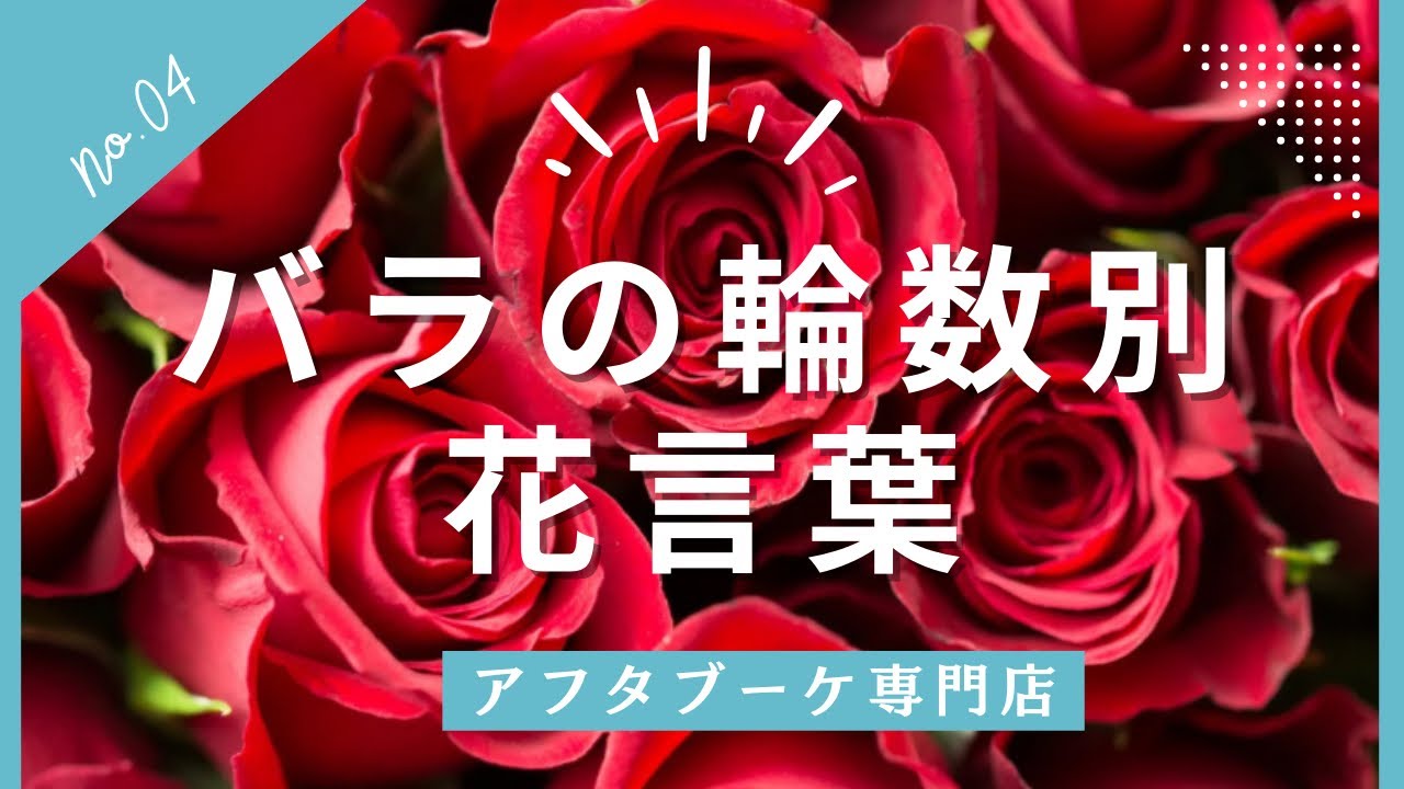 プロポーズに贈る薔薇の花束！本数で変わるバラの花言葉を解説 アフター加工生花保存加工専門店グリーンルームアトリエ由花