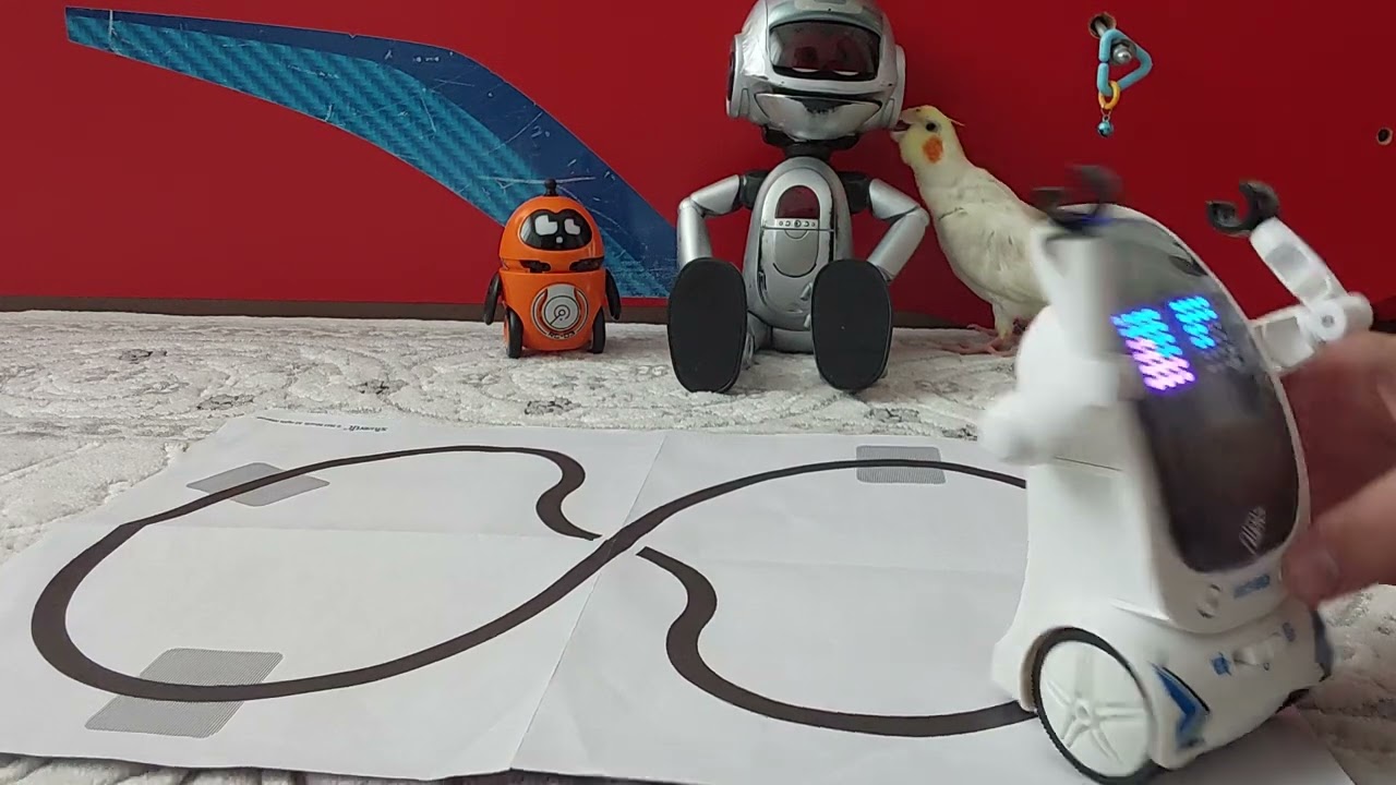 Yeni robot tanıtımı