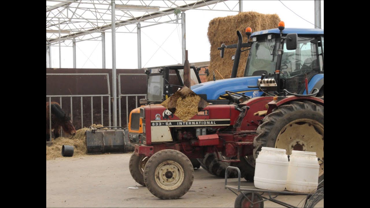 Lier' Kinderboerderij 't Struisvogelnest'