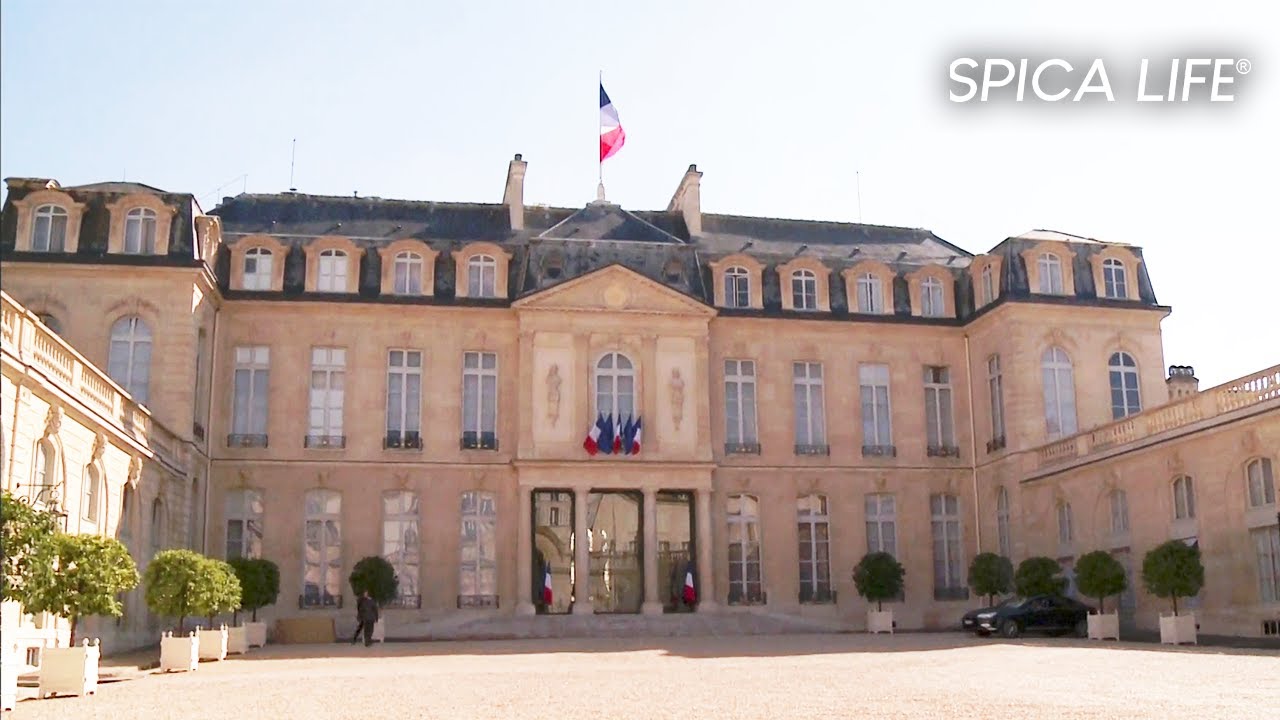 Au cœur de l'Elysée, bien plus qu'une maison politique