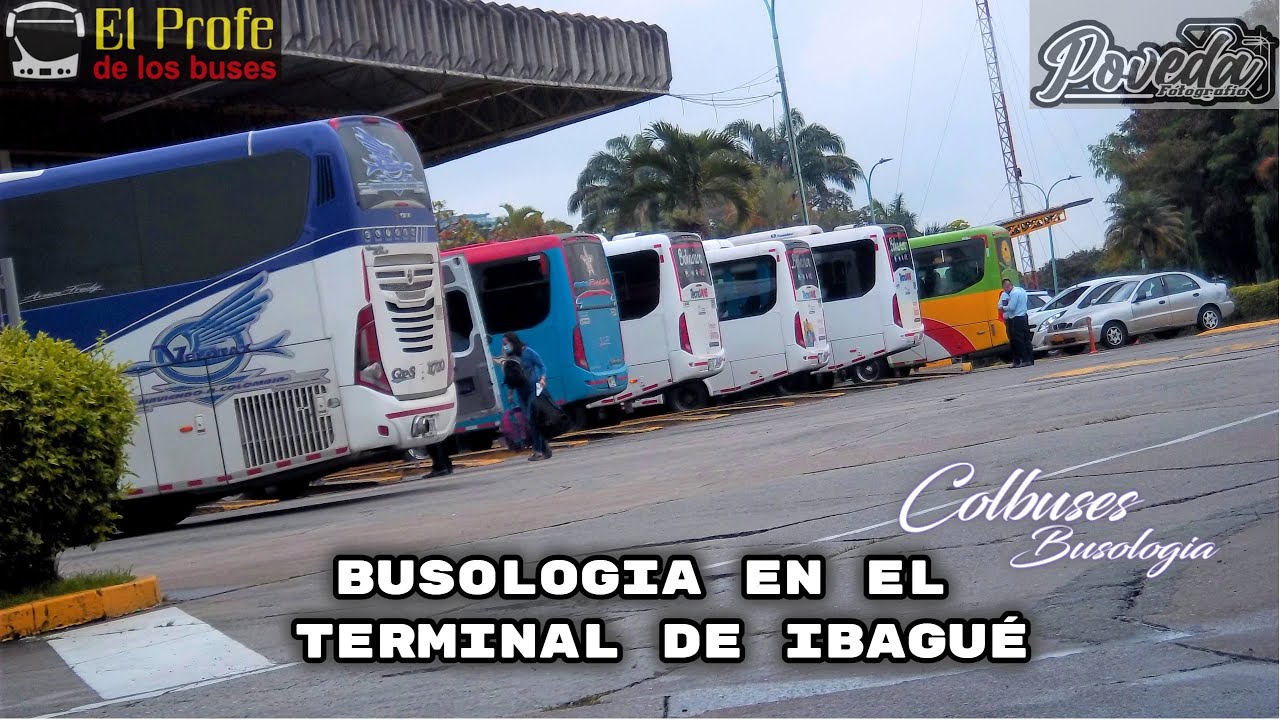 BUSOLOGIA EN EL TERMINAL DE IBAGUE | CON EL PROFE DE LOS BUSES & POVEDA FOTOGRAFIA