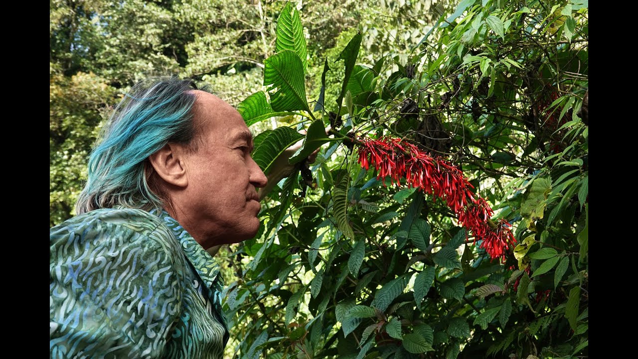 FIELD TRIP WITH PATRICK BLANC IN GUATEMALA - HIGHLANDS