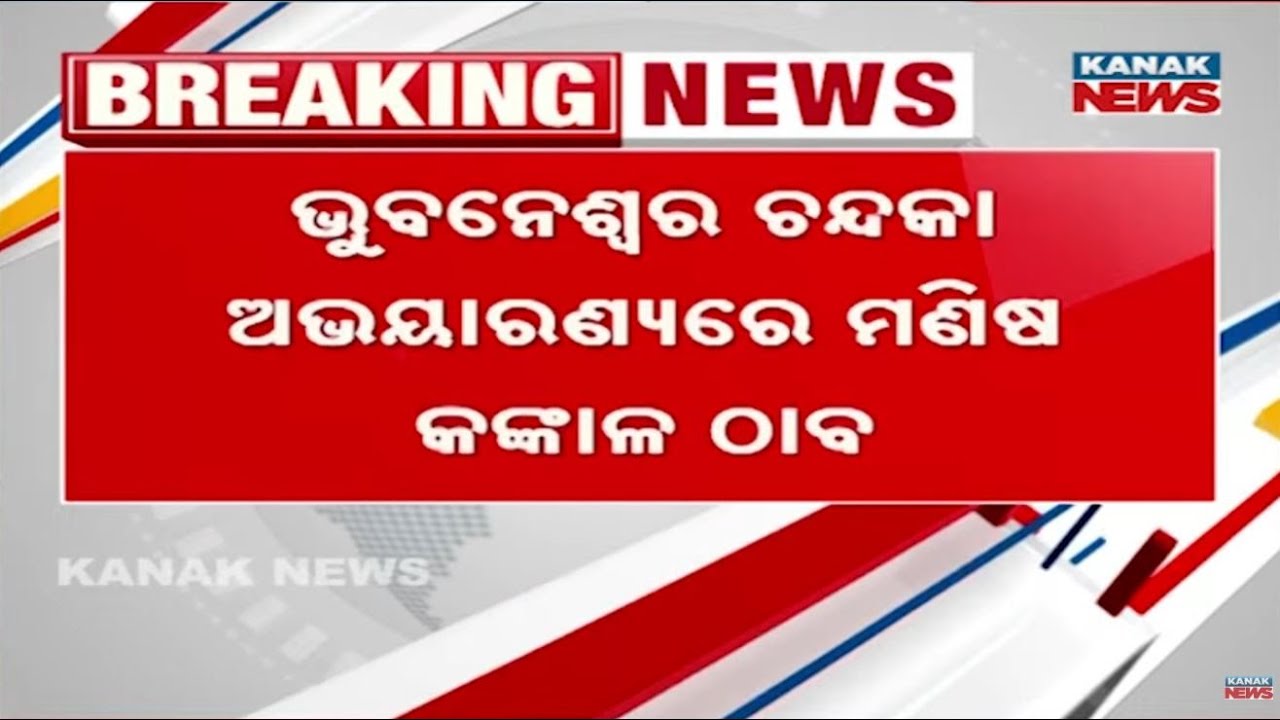 Human Skeleton Found in Chandaka Forest | Mystery In Kumarakhunti Jungle