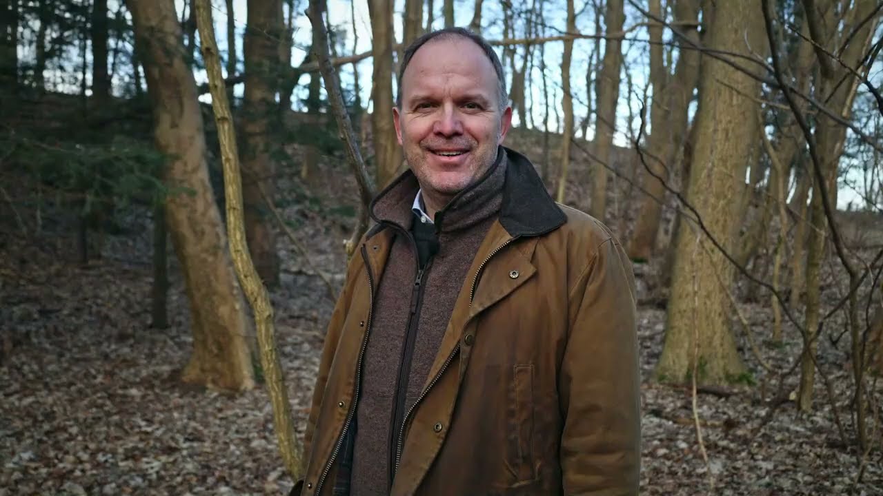Forest investments in the Baltics