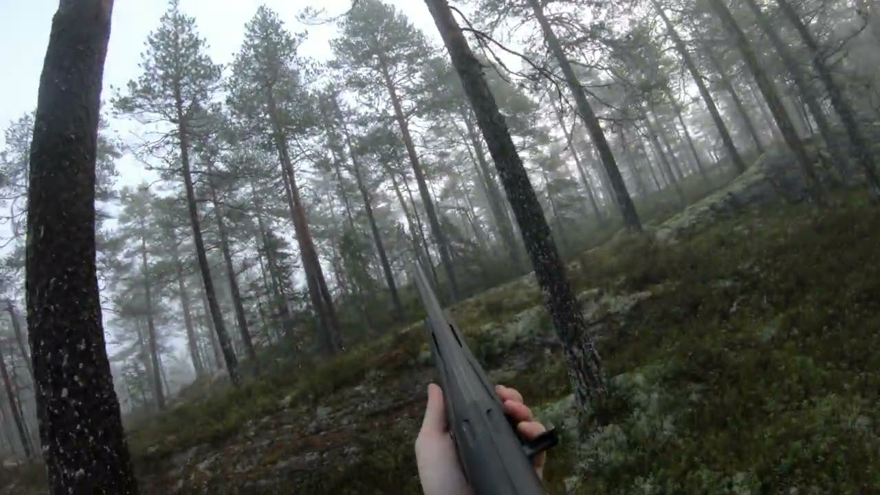 Jaktsesongen 2025 (Skogsfugl)