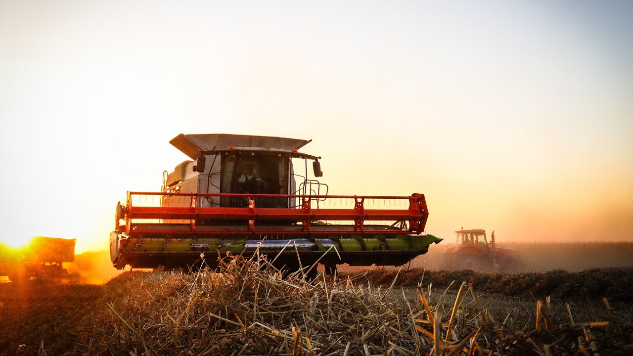 ŽNĚ 2025 ♥//HARVEST 2025 - ZD ROSICE 🌾❤