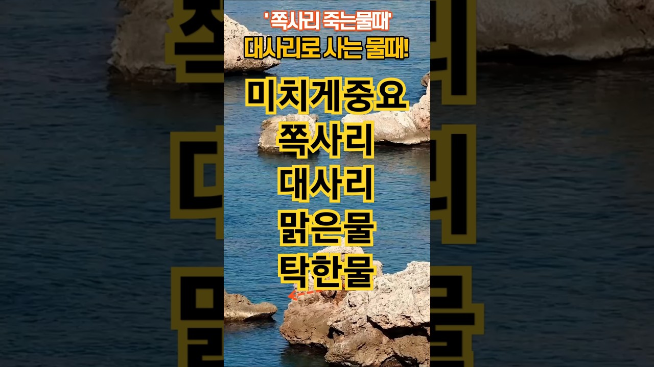쪽사리 죽는 물때 대사리로 사는 물때! #로렌스 #가민 #어군탐지기 보는법 #어탐 사용법 #채비 #낚시 #보트 #유어선 #꿀팁