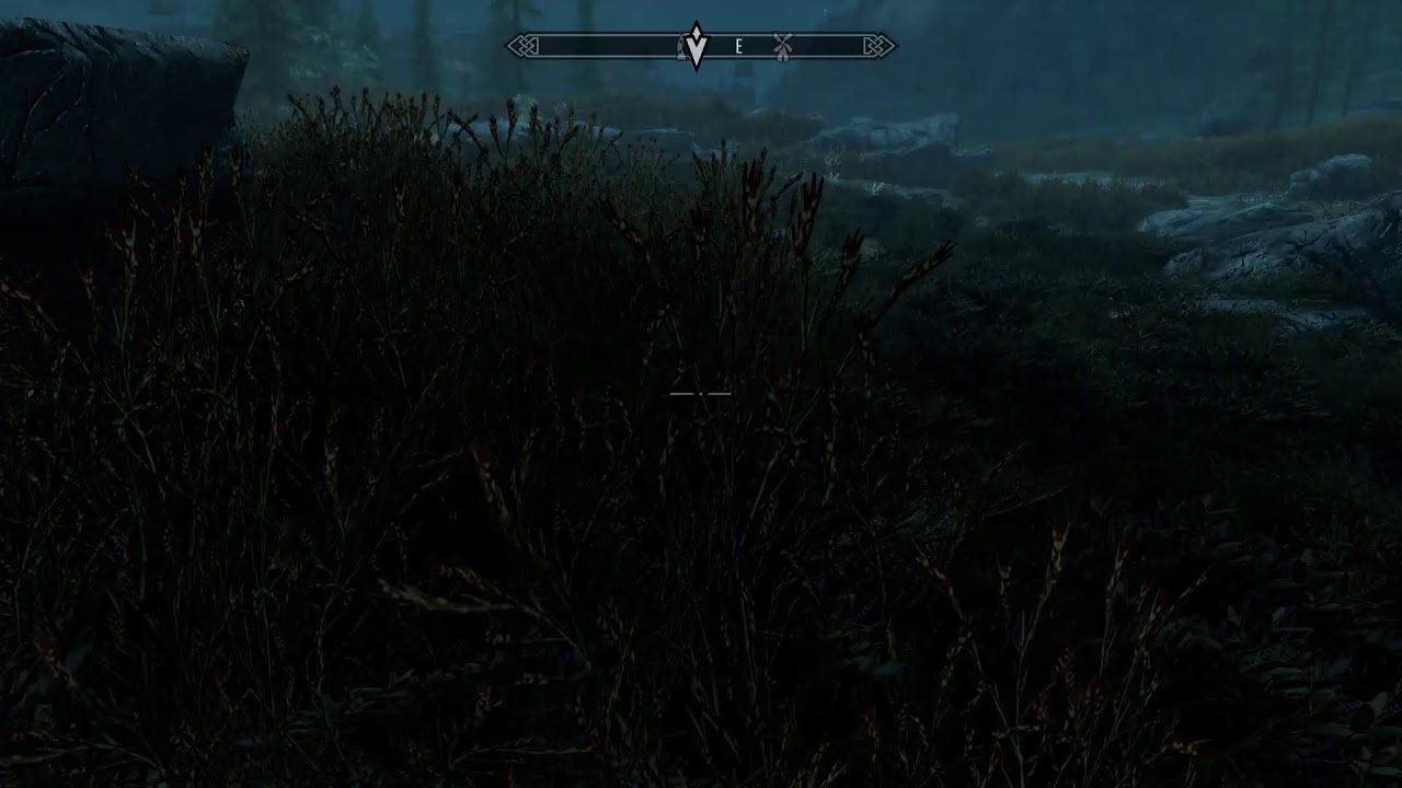 Skyrim thc edition