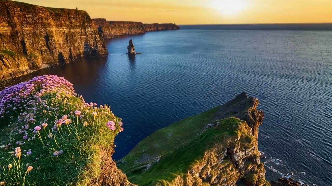Reel of the Wandering Wren | Irish Dancing Music