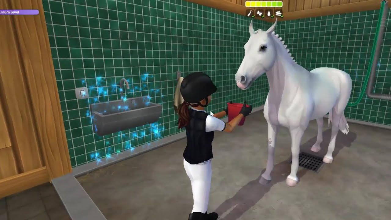 Vlog od Koní #1 ||Seznámení mě i koní+ trénink || rrp cz | star stable online