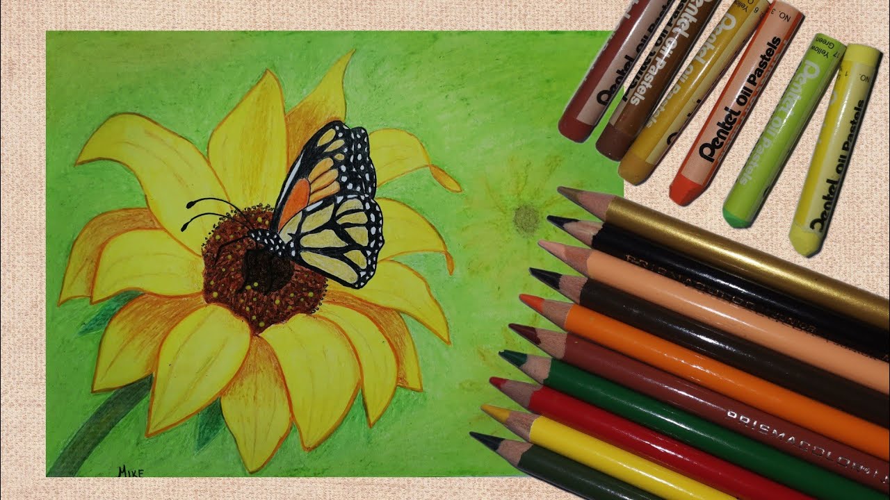 como pintar girasol y mariposa, con óleo pastel y lápizes de colores prismacolor junior #8