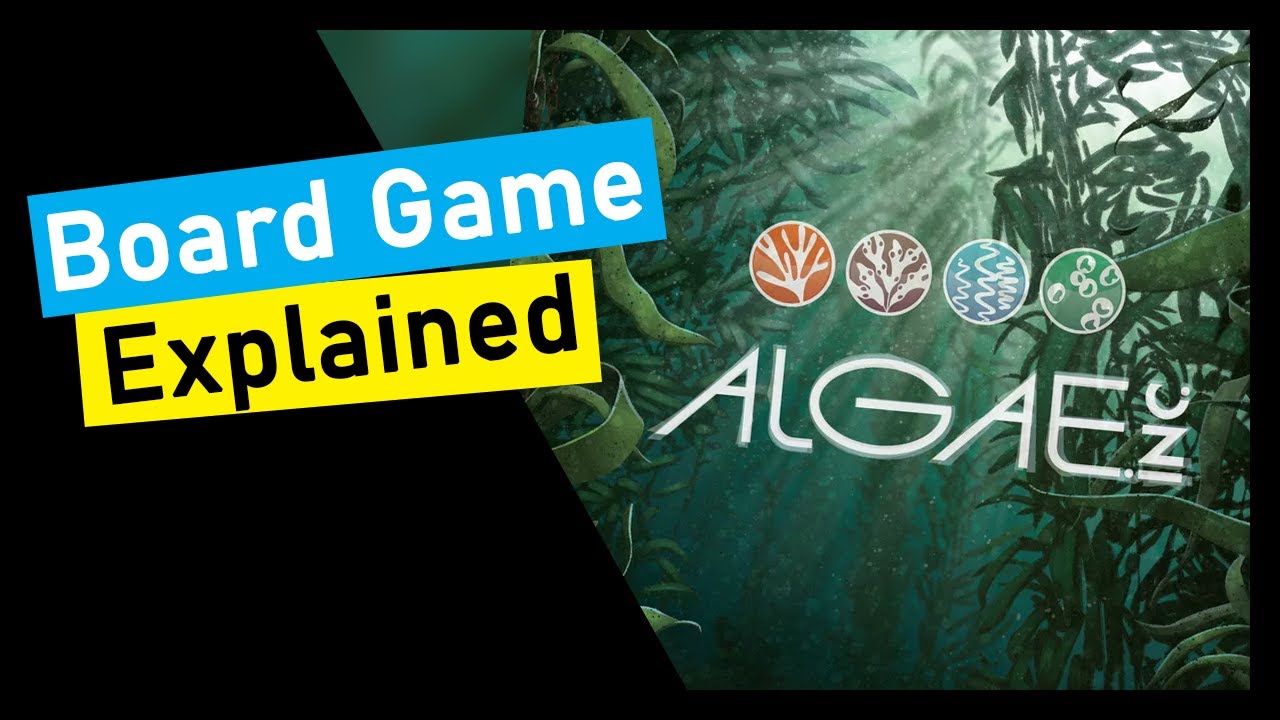 Quick Overview of Algae, Inc