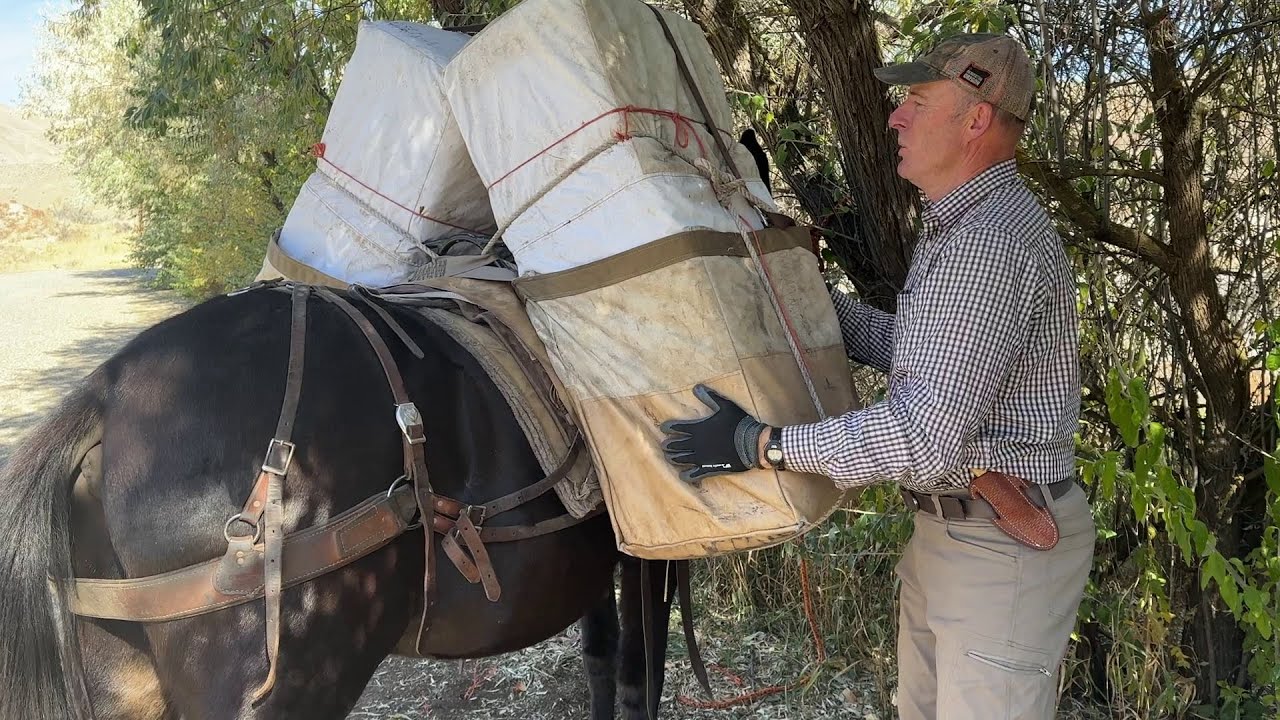 How to Load Hay Bales on a Mule for Packing the Easiest and Fastest Way