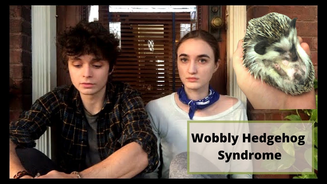 What is Wobbly Hedgehog Syndrome? (Síndrome del erizo tambaleante)