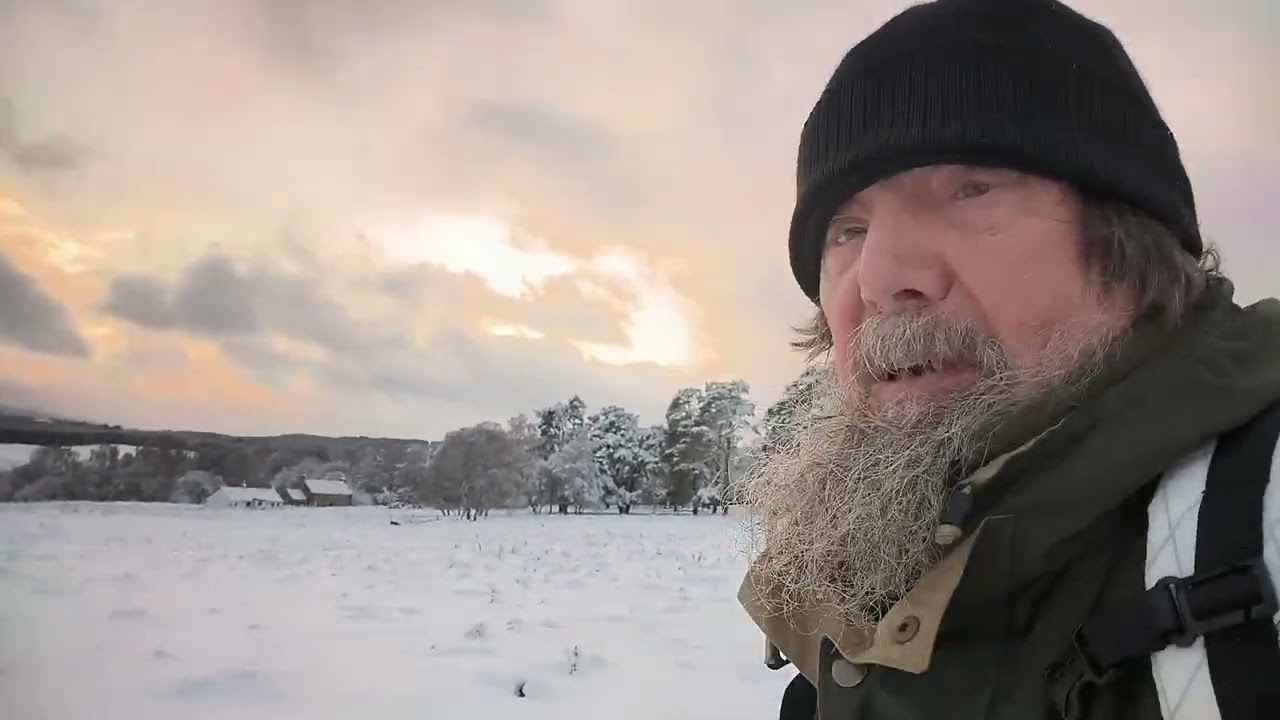 A Walk In The First Snow Of The Winter