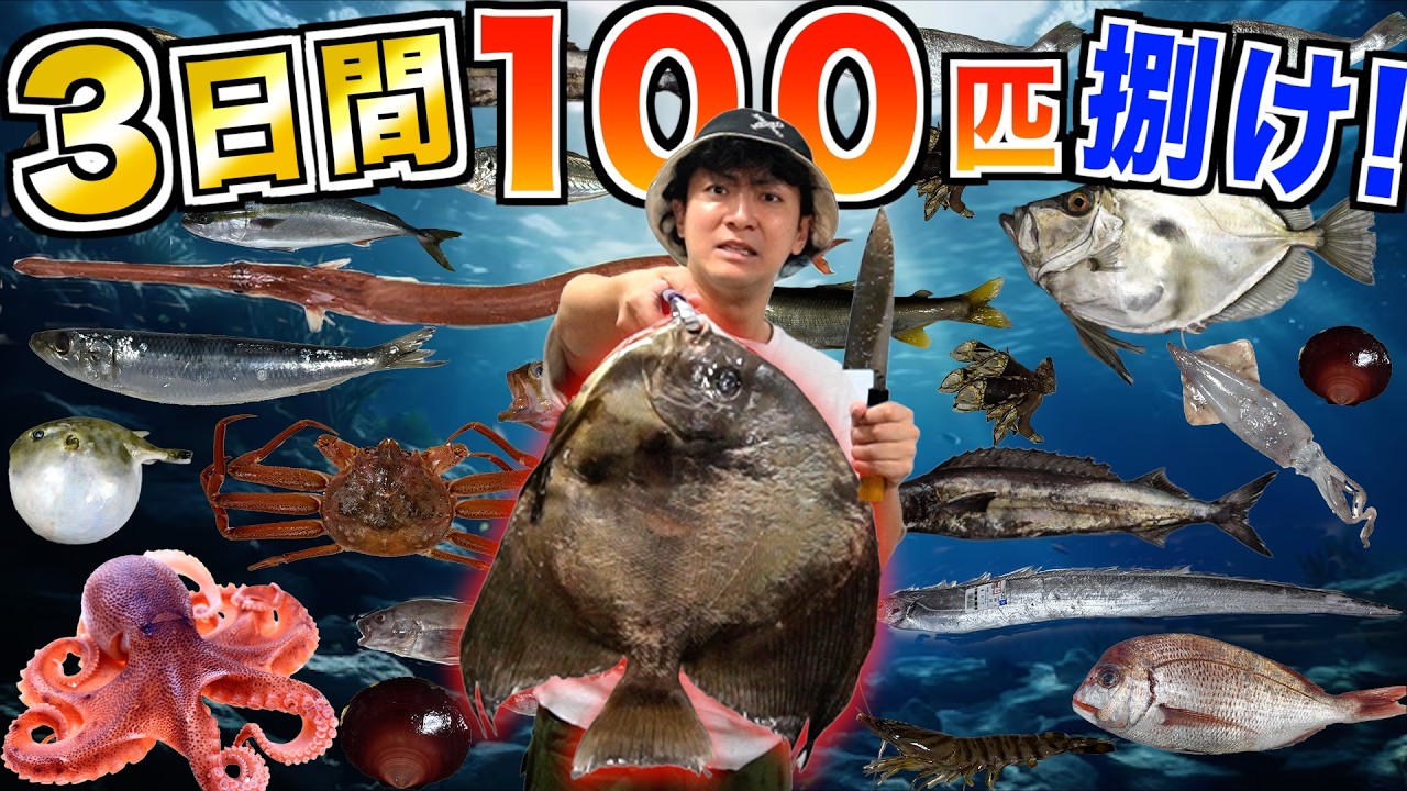 【3日間】魚を