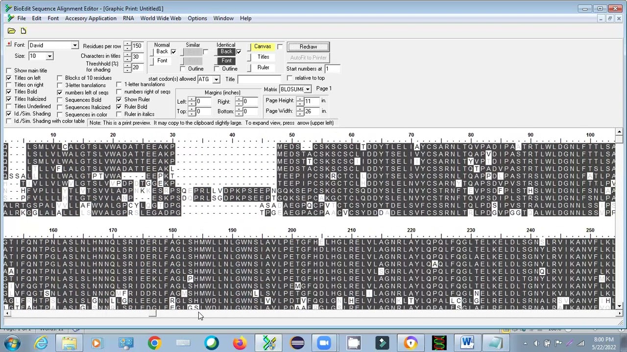 Publication Quality image: multiple sequence alignment via ClustalW in BioEdit