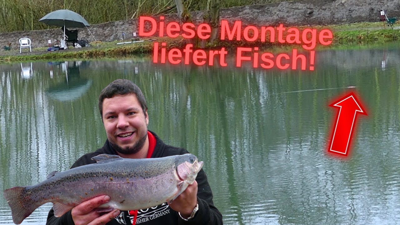 Mega zickige Forellen aber diese Methode und Montage liefern Fisch! Angelparadies Herrhausen