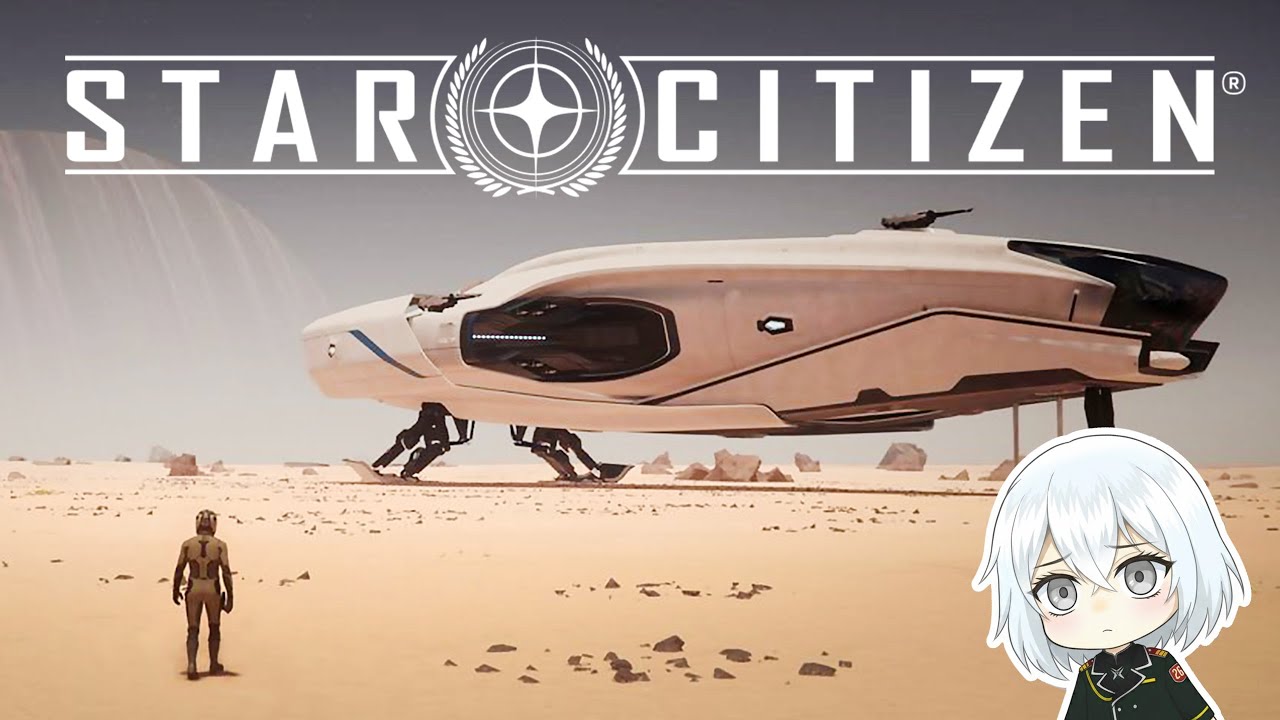Star Citizen - Mercenary & Chilin' 【Vtuber】 PC
