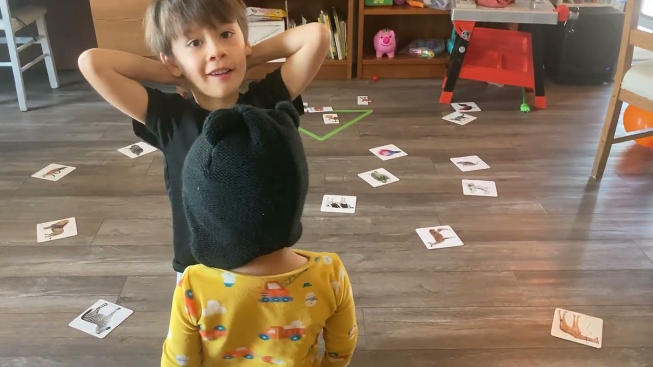 Animal finding 