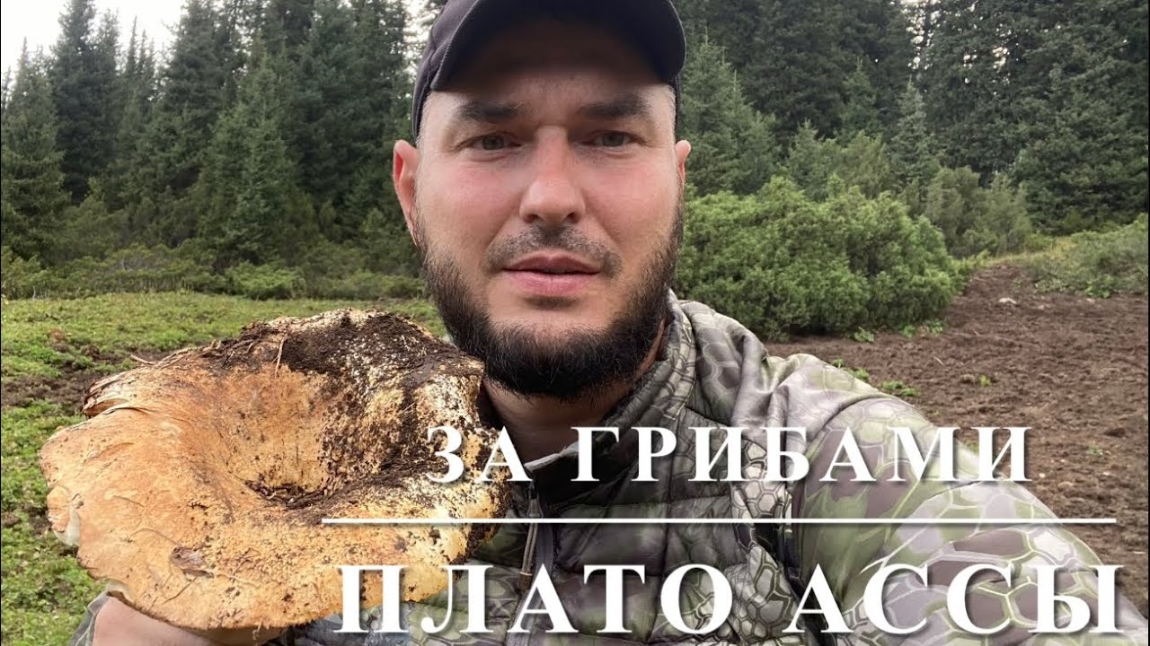 За грибами плато Ассы-Тургень