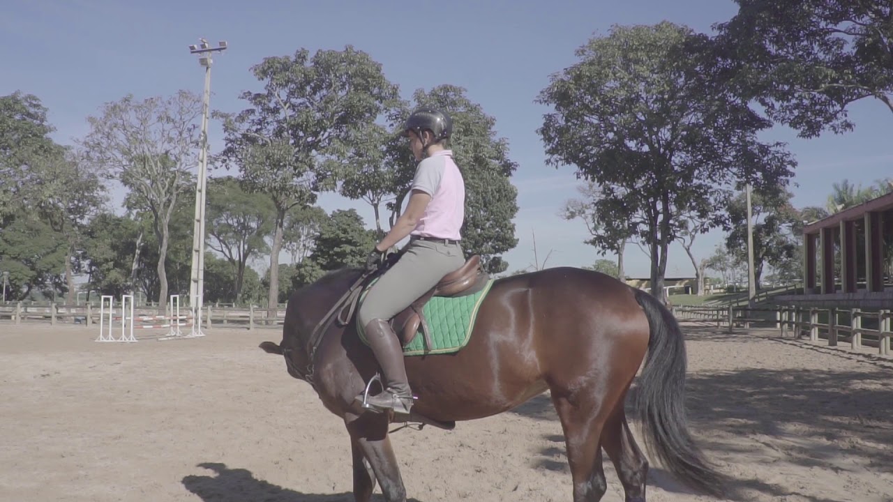 Aula Equestre - FORMA CORRETA DE ULTILIZAR A ESPORA