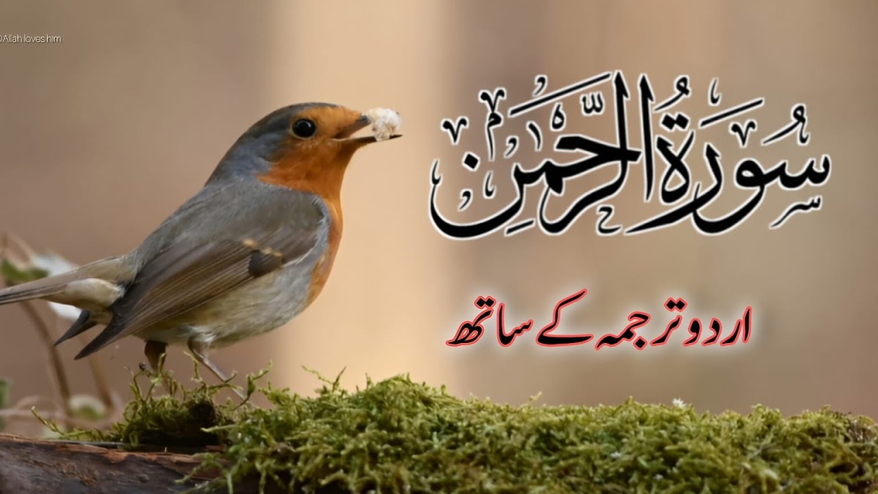 Surah Rahman Urdu Tarjuma k Sath🌿 | Qari Al Sheikh Abdul Basit Abdul Samad | AlQuran Studio