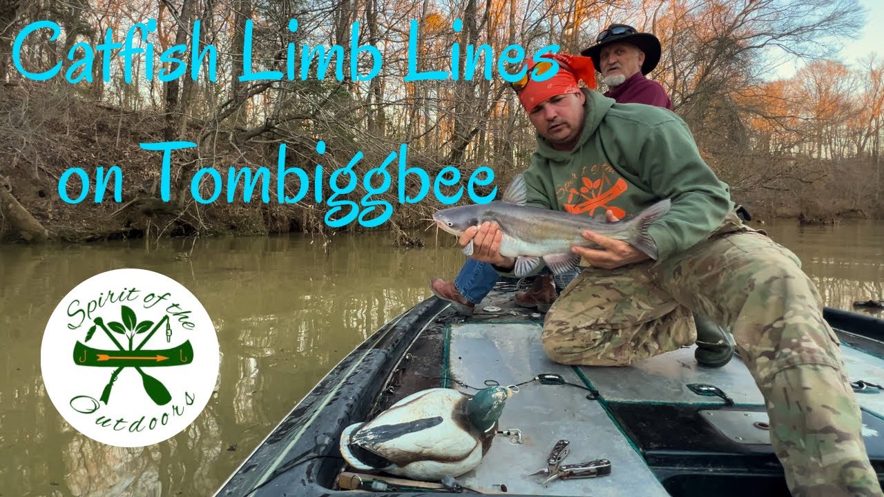 Catfish Limb Lines on Tombiggbee