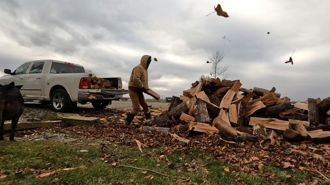 Собираем дрова! _ Невыносимый ВЕТЕР! // Уитт Эйкерс
