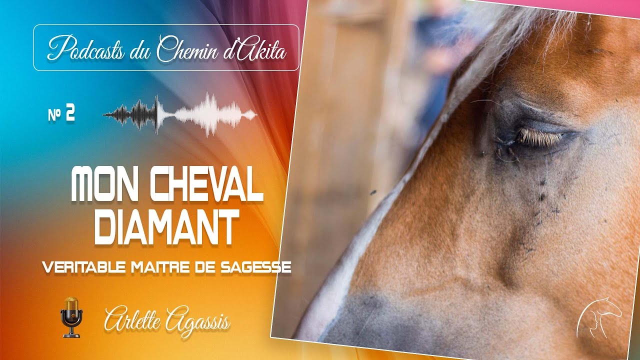 Mon cheval Diamant : véritable Maître de sagesse