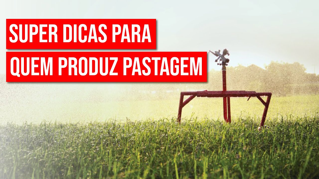 Irrigação de pastagem: 4 dicas para fazer
