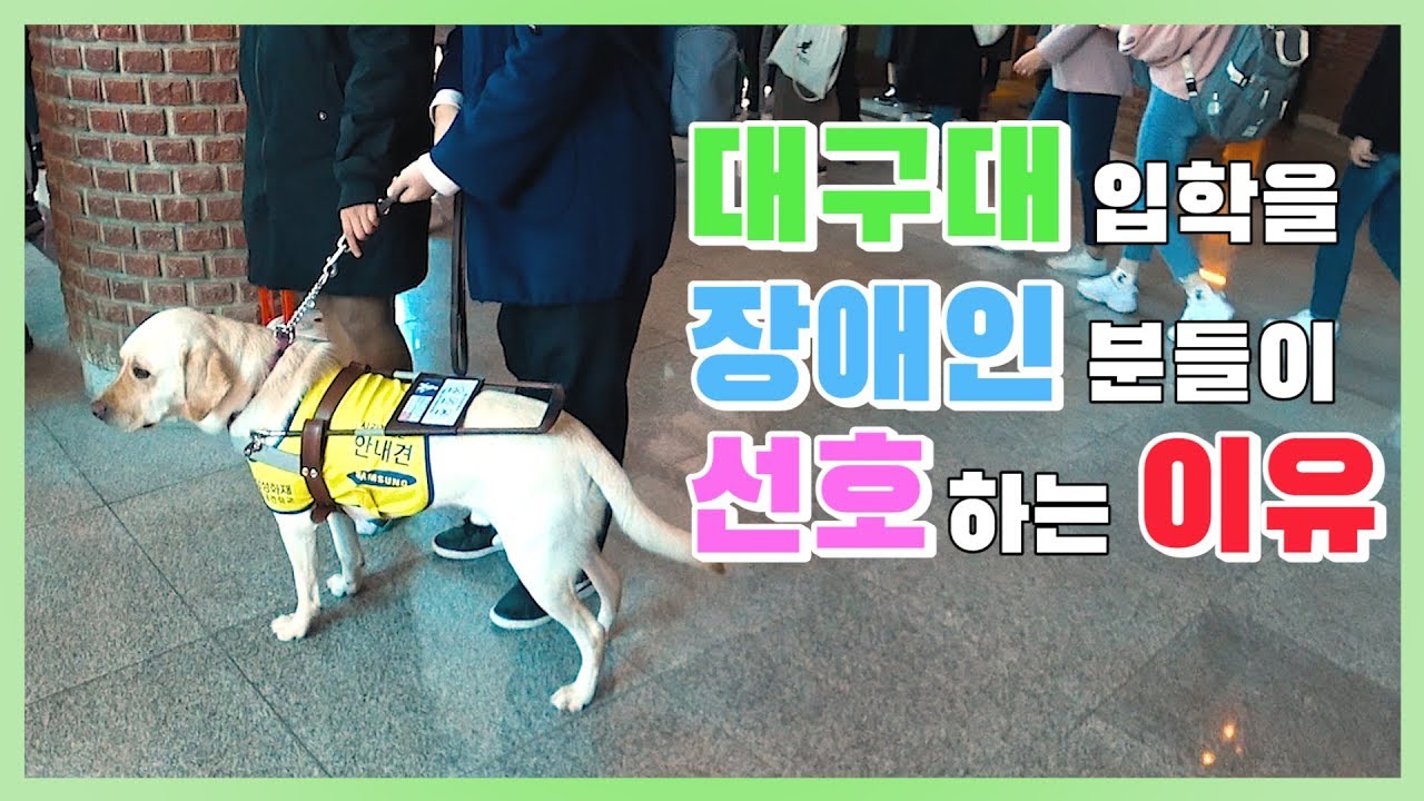대구대 장애인 복지가 전국 대학 최상위인 이유. 이 영상 하나로 다 보여드립니다.
