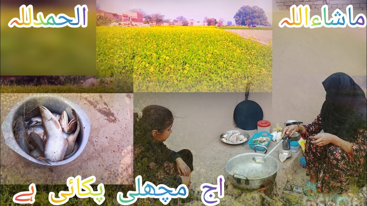 Aaj ka vlog mashallah alhamdulillah jaise machhali pakaai hai Pakistan zindabad