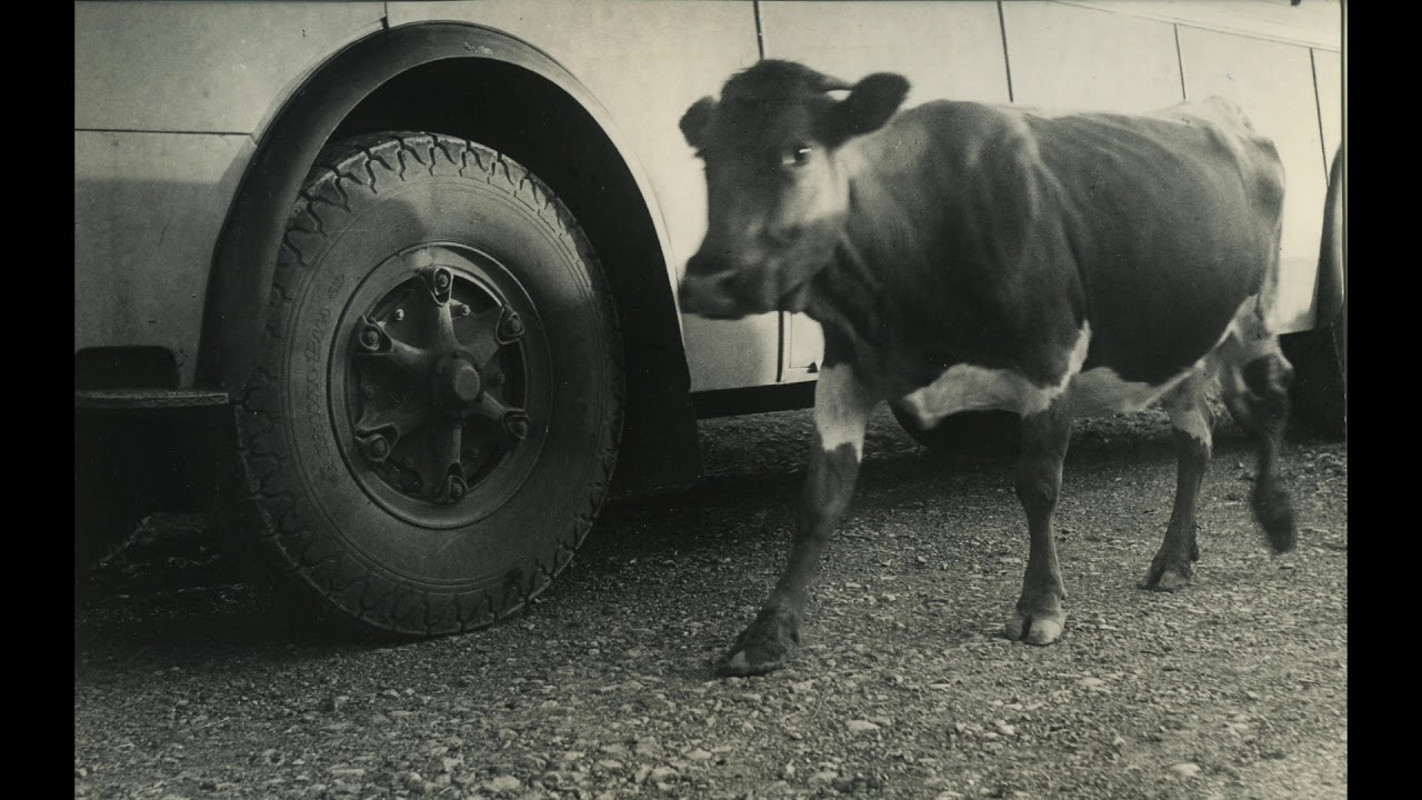 Jan Beran 1913 - 2003 &mdash; Tschechischer Fotograf