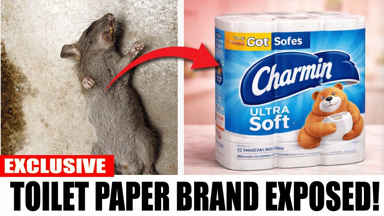 10 Toilet Paper Brands To Avoid at all Cost (And The 2 That Are Worth It)