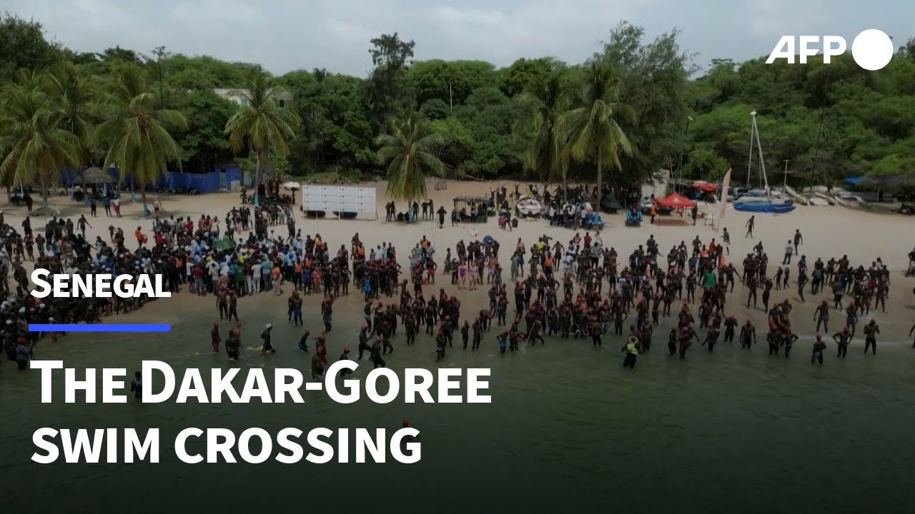 Record turnout for Dakar-Goree swim crossing in Senegal | AFP