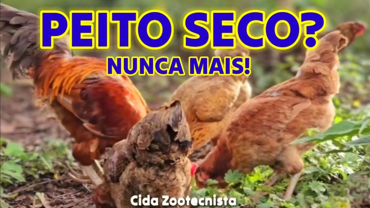 PEITO SECO - CAUSAS E TRATAMENTOS