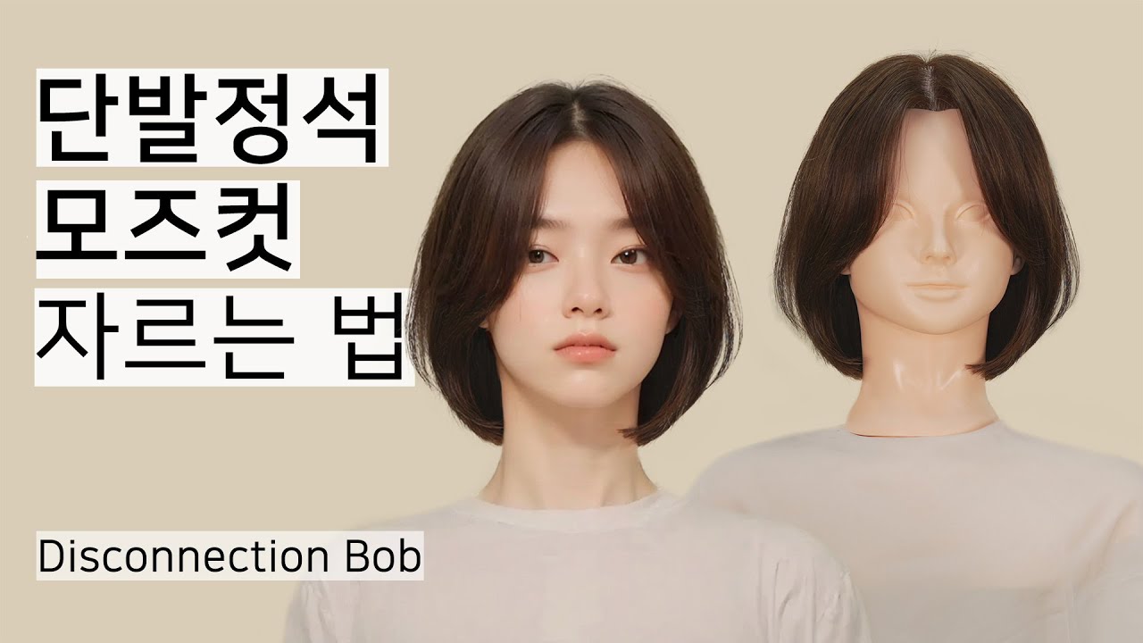 단발 모즈컷 자르는 법 (디스커넥션 단발 커트)