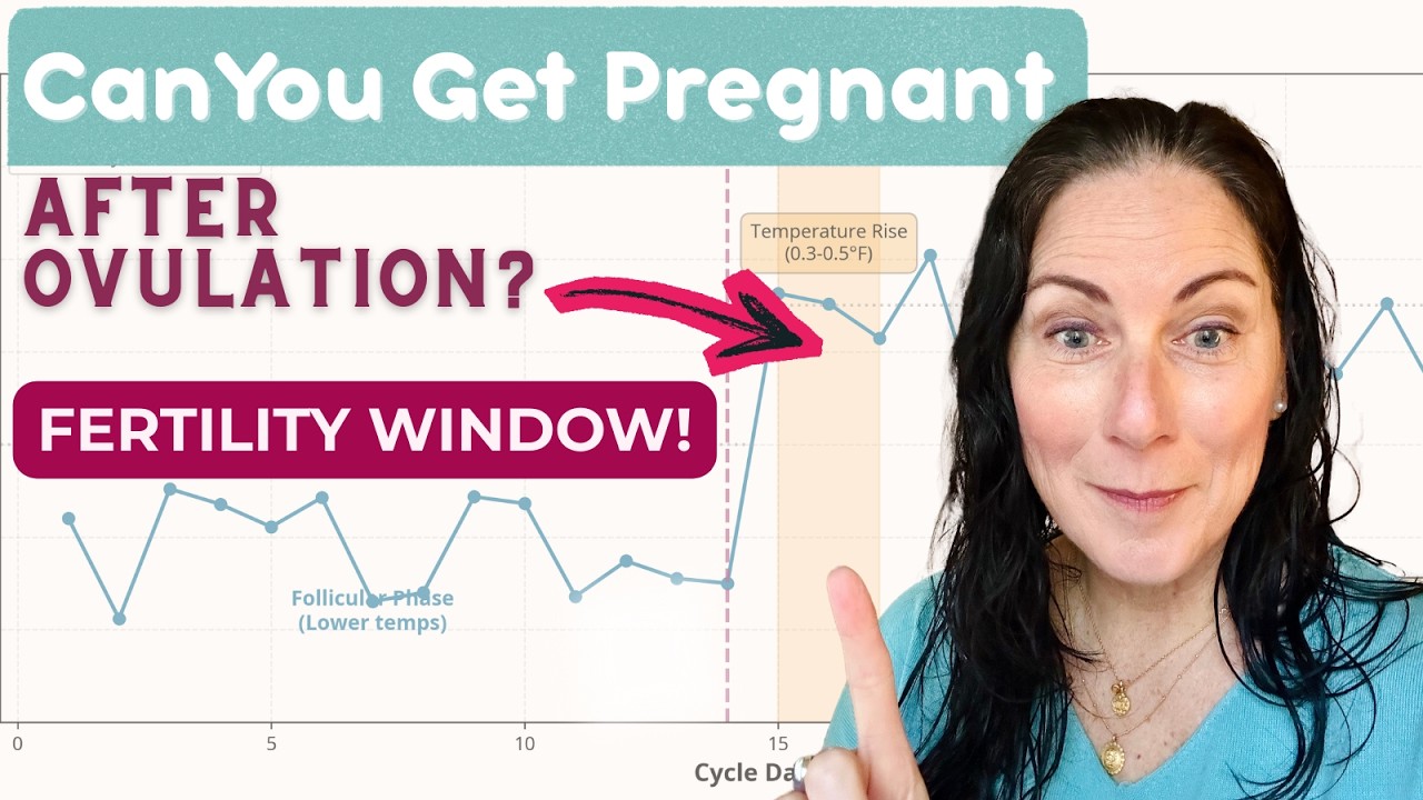 Can You Get Pregnant After Ovulation? Fertility Window Explained (TTC 35+)