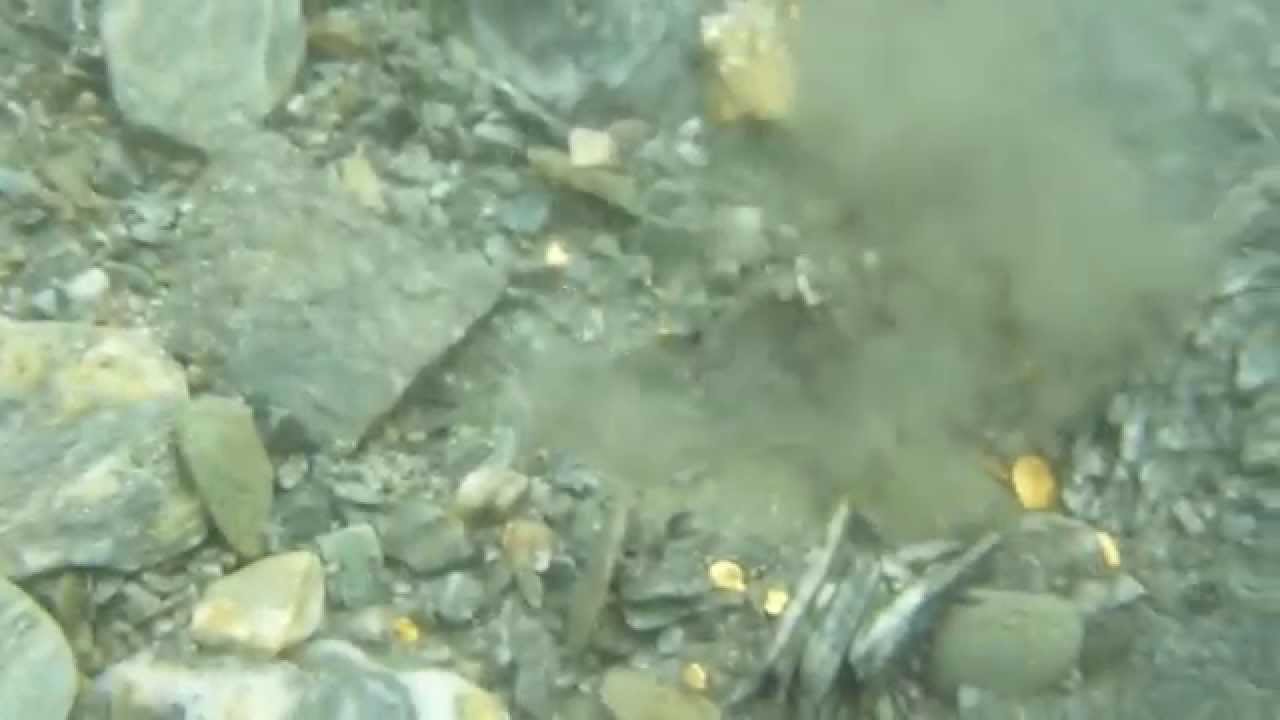 GOLD DREDGING MOKE CREEK NEW ZEALAND 2013