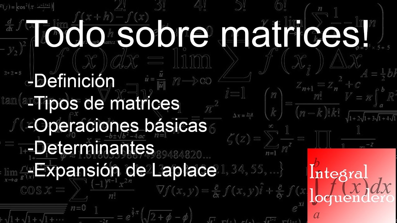 Todo sobre matrices (Guía completa)