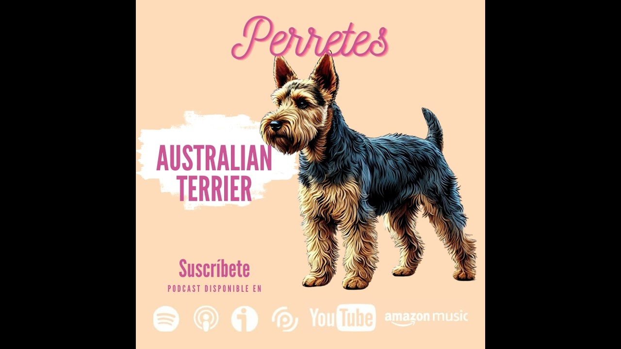 Ep90: Australian Terrier