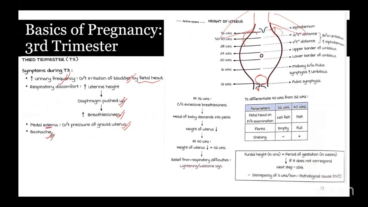 Critical DHA Mistakes To Avoid In Maternal Nursing Care