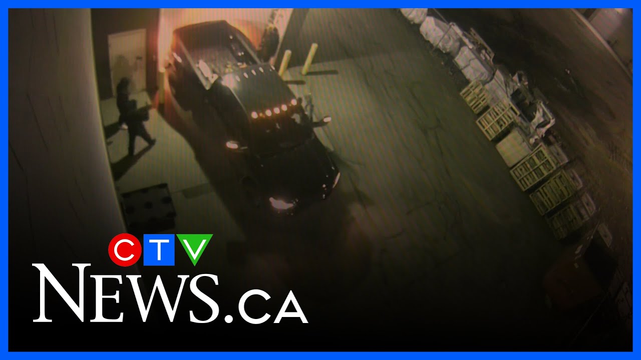 Long & McQuade offering $10K reward after break-in