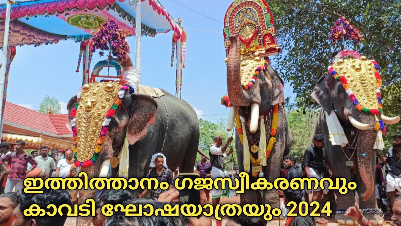 ഇത്തിത്താനം കാവടി ഘോഷയാത്രയും ഗജസ്വീകരണവും 2024 | Iththithanam Elamkavil devi temple