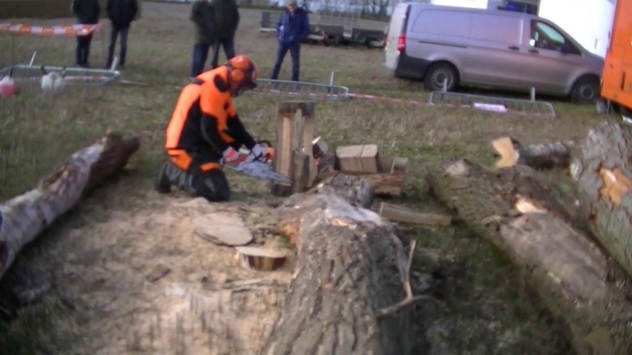 WORKING DEMONSTRATIONS AT THE 60TH DOE SHOW