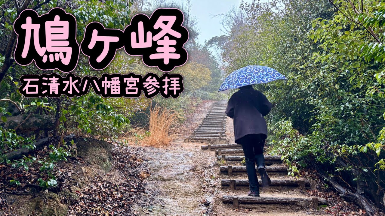 【京都・観光登山】雨の鳩ヶ峰と石清水八幡宮参拝